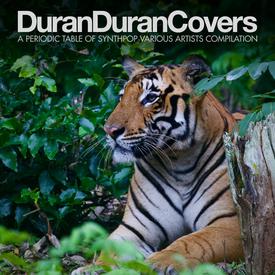 Duran Duran Covers
