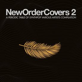New Order Covers 2